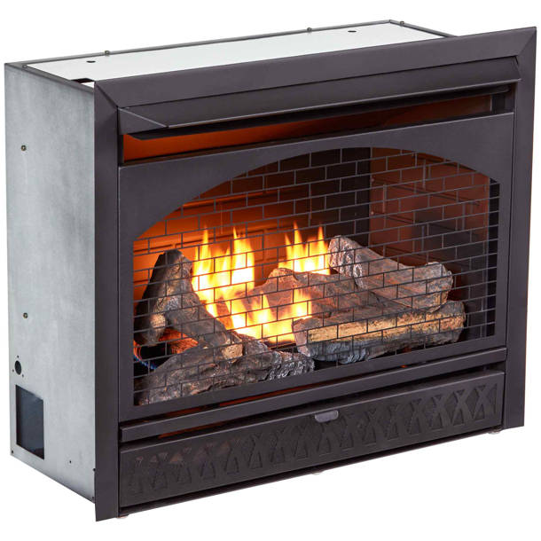 Heating Vent Free Natural Gas/Propane Fireplace Insert & Reviews